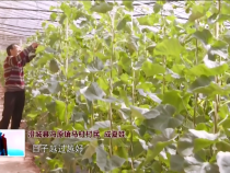 東秦百姓3月9日