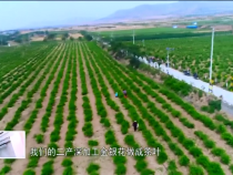 東秦百姓3月25日