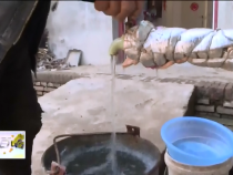 東秦百姓3月22日