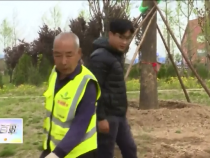 东秦百姓4月12日