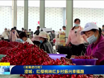 直通縣市5月17日