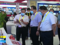 直通縣市5月12日