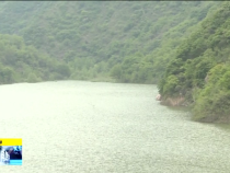 直通縣市5月7日