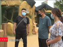 东秦百姓6月26日