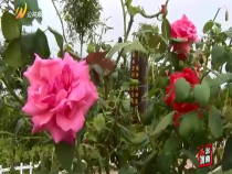 法治渭南8月19日