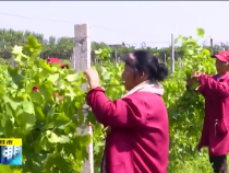 直通縣市8月16日
