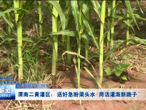 渭南新闻8月25日