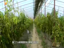 农家四季8月23日