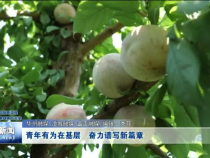 渭南新闻8月29日