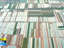 直通縣市9月20日