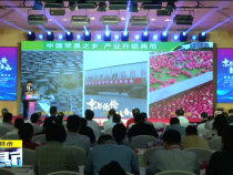 直通縣市9月13日