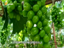 農(nóng)家四季9月29日