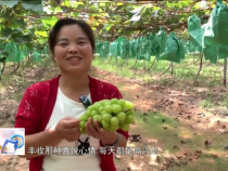 东秦百姓9月21日