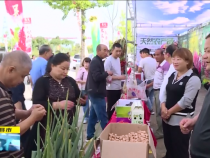 直通縣市9月24日