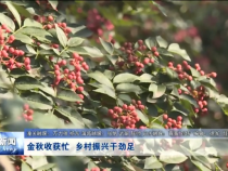渭南新闻9月20日