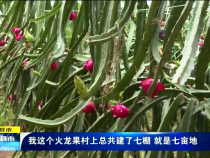 直通縣市9月8日