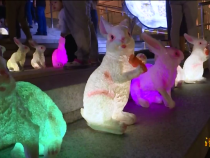 渭南文旅9月24日