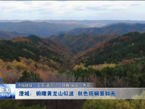 渭南新闻10月30日