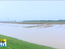 直通縣市10月8日