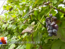 东秦百姓10月26日