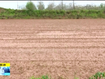 直通縣市10月11日