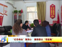 东秦百姓11月10日