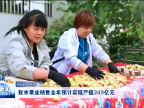 渭南新闻11月15日