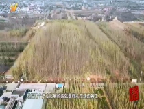 農(nóng)家四季11月19日