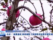 渭南新闻11月2日