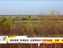 东秦百姓11月6日