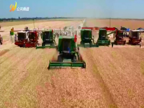 農(nóng)家四季11月1日