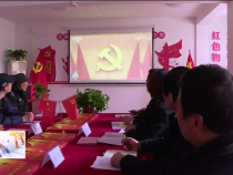 东秦百姓11月20日