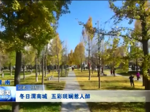 渭南新闻11月10日