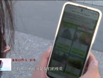 东秦百姓11月13日