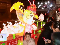 东秦百姓2月15日