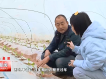 渭南新闻2月8日