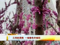 东秦百姓3月21日