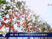 直通县市3月25日
