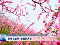 渭南新闻4月7日