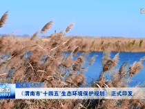 渭南新闻4月19日