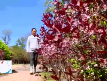 东秦百姓4月7日