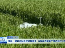 渭南新闻5月24日
