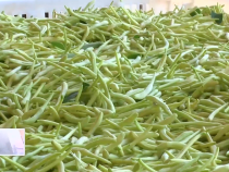 东秦百姓5月23日
