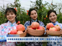 渭南新闻5月10日