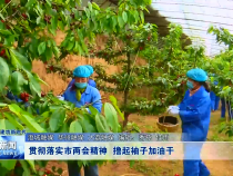 渭南新闻5月8日