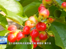 渭南新闻5月11日