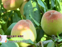 东秦百姓6月23日