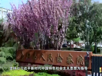法治渭南6月6日