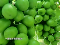 农家四季7月15日