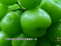 農家四季7月27日